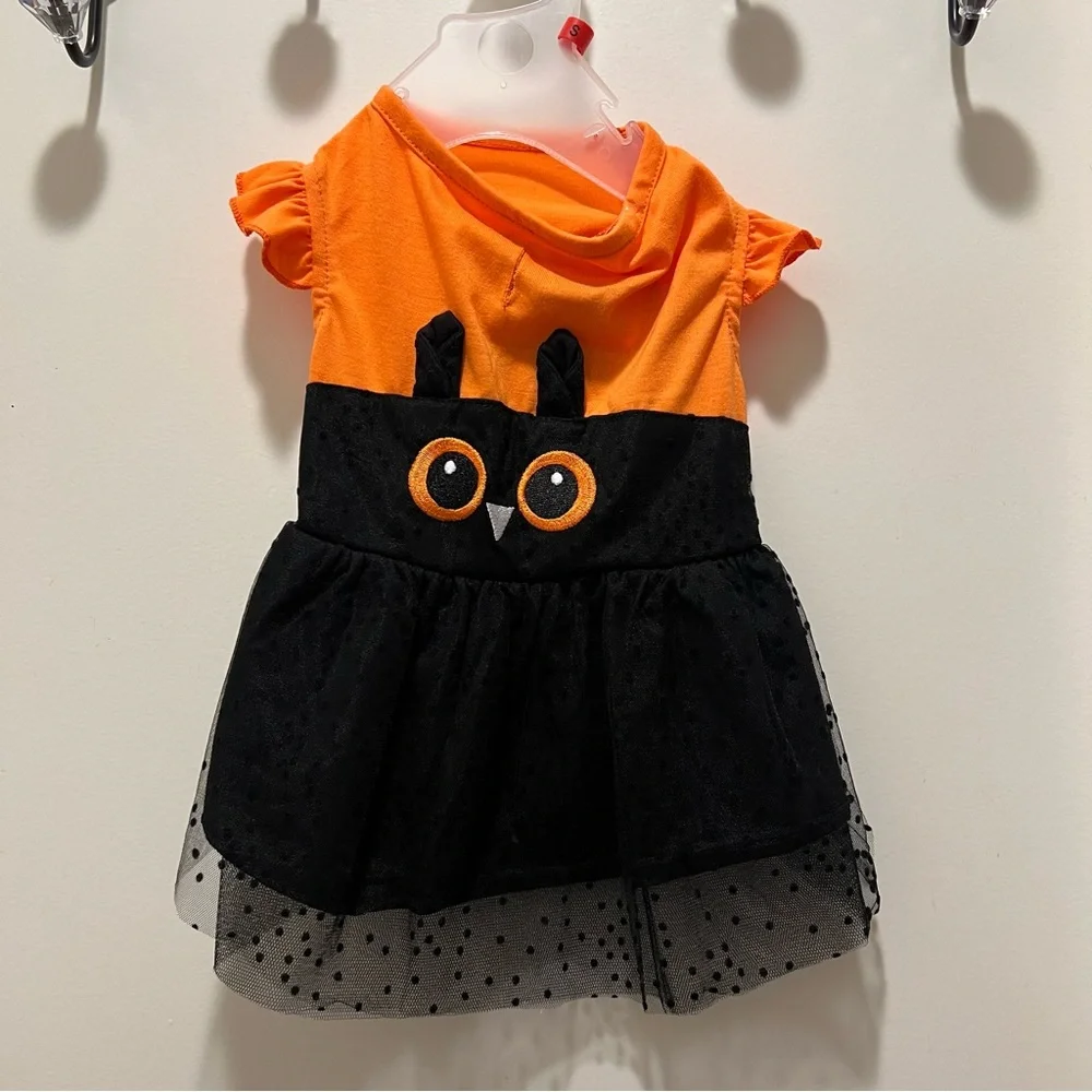 Halloween owl dog dress orange black small spooky